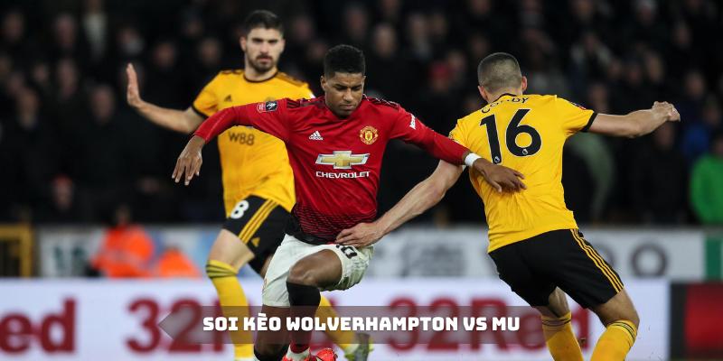 soi kèo wolverhampton vs mu xôi lạc